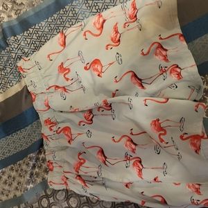 Flamingo Swim Shorts